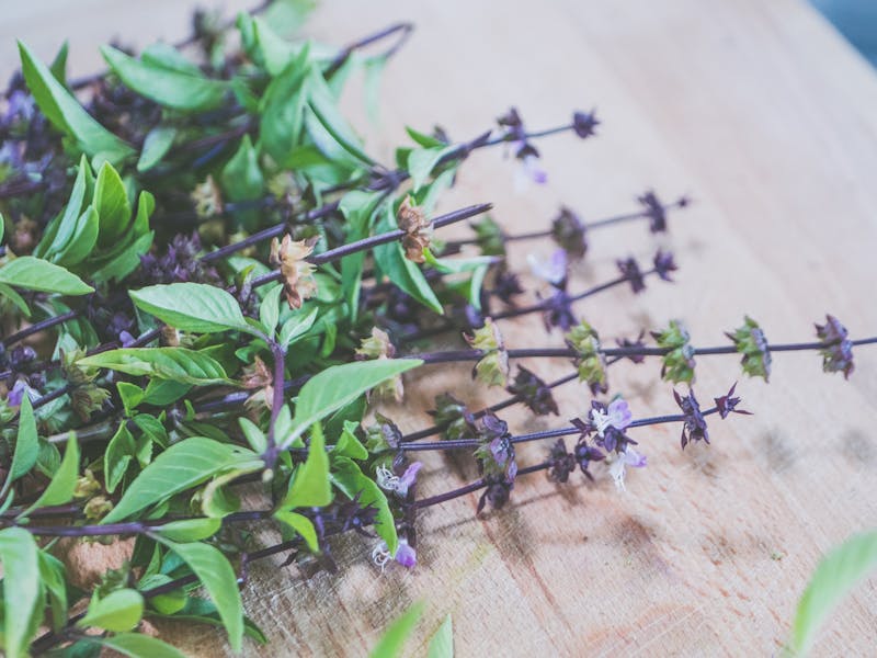 Close-up of fresh Thai basil herbs on a wooden counter for culinary use.
